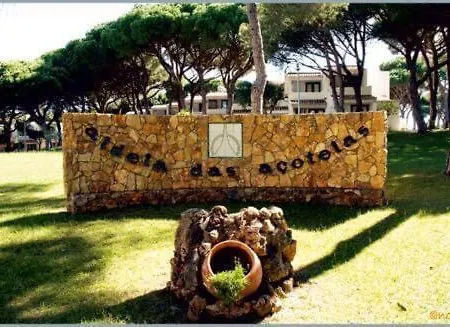 Studio Arbore Avec Piscine * Albufeira