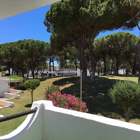 Studio Arbore Avec Piscine * Albufeira