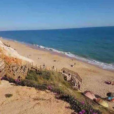 Studio Arbore Avec Piscine Albufeira